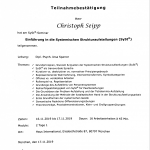 Christoph Seipp Zertifikat Matthias Varga von Kibéd und Insa Sparrer, SySt Institut